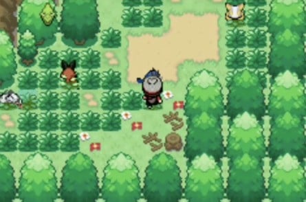 Sword and Shield GBA